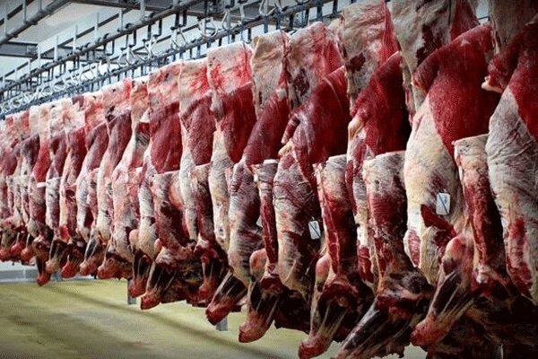 عدم تامین نهاده با نرخ مصوب و قاچاق دلایل افزایش قیمت گوشت