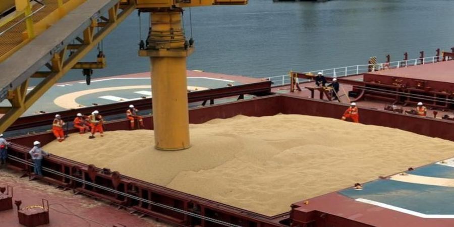 حمل یکسره ۱۰۳ هزار تن گندم و روغن خام تولیدی به کشور