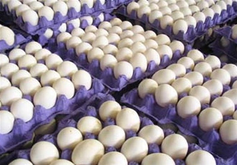نهاده‌های مرغداران تخمگذار به‌صورت ۱۰۰درصدی تأمین می‌شود
