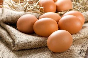 ظرفیت تولید تخم مرغ کشور به ۱.۳ میلیون تن رسید
