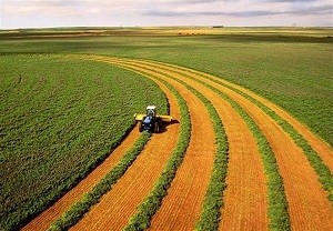 پیش‌بینی بانک جهانی درباره قیمت محصولات کشاورزی