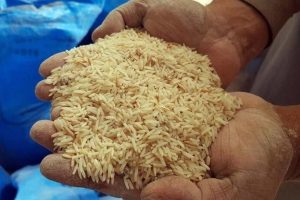 قیمت برنج گران است؟