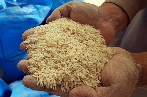 اجحاف به مصرف کنندگان، با فروش برنج پارسال به قیمت امسال