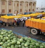 جهش صادرات محصولات کشاورزی با عضویت ایران در سازمان همکاری شانگهای