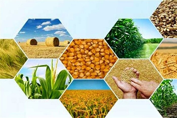 تاکید بر تجارت حرفه‌ای محصولات کشاورزی به کمک تشکل‌ها