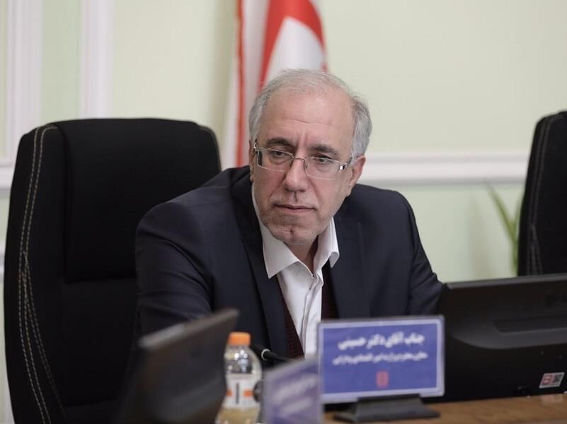 معاون وزیر اقتصاد: عضویت ایران در سازمان شانگهای دسترسی به بازار هدف را گسترش می‌دهد