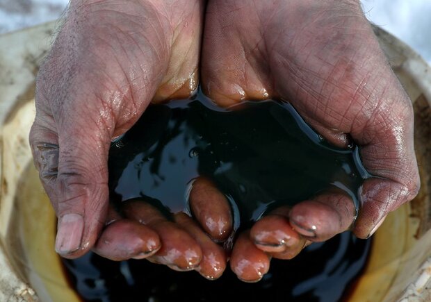در اولین روز کاری بازارهای های جهانی؛ قیمت نفت برنت به ۱۱۳.۳۴ سنت رسید