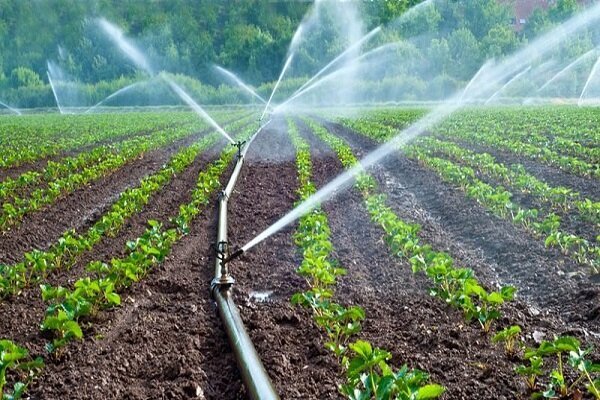 وزیر نیرو: کشت خارج از الگوی وزارت کشاورزی تامین آب نخواهد شد