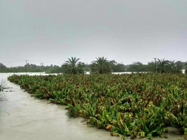 خسارت ۶۱۳ میلیارد تومانی سیلاب به بخش کشاورزی سیستان و بلوچستان
