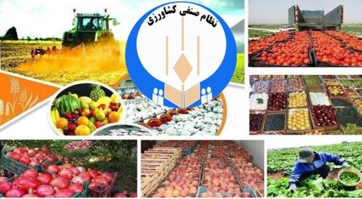 بررسی ساختار جدید نظام صنفی کشاورزی و منابع طبیعی (اتاق اصناف کشاورزی ایران)