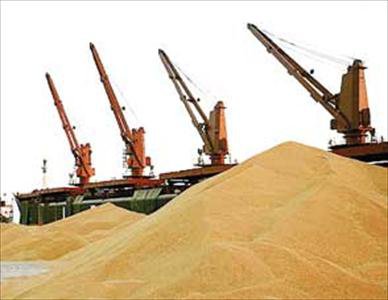 شرکت بازرگانی دولتی ایران اعلام کرد: خرید ۲۰۰ هزار تن گندم در تعطیلات نیمه خرداد