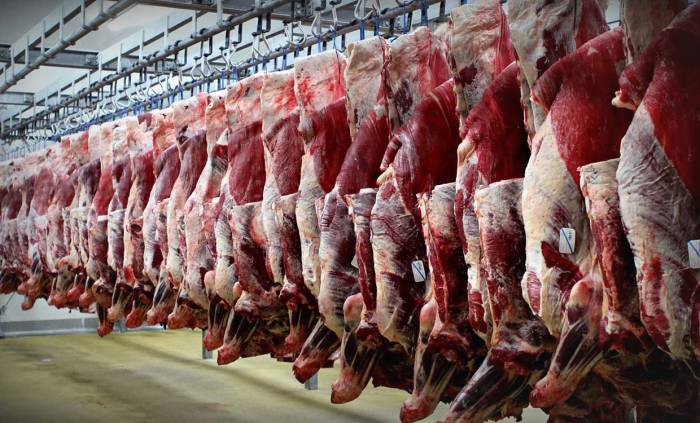 سود کلان واردکنندگان گوشت با ارز ۴۲۰۰ تومانی