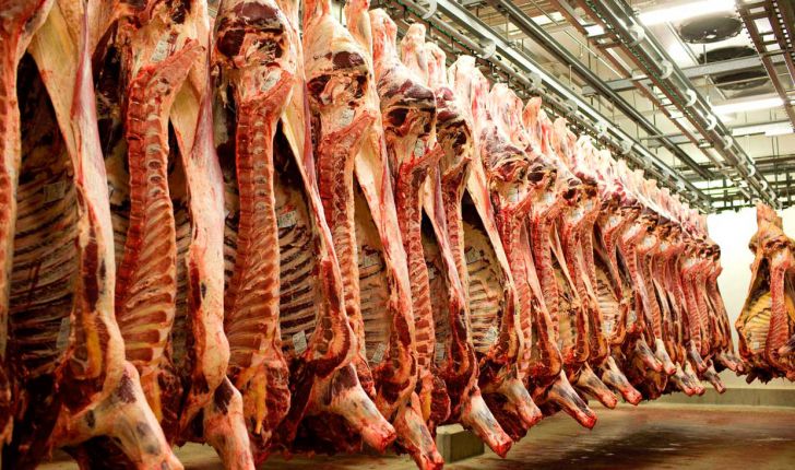 واردات گوشت قرمز ممنوع می‌شود؟