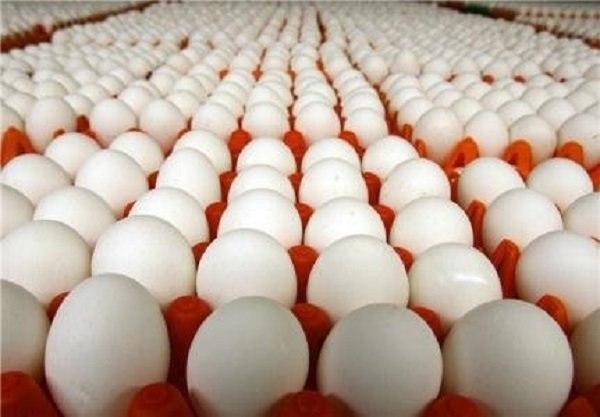صادرات تخم‌مرغ به ٢٢هزار تن رسید