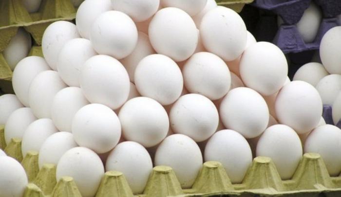 صادرات ۲۸ هزار تنی تخم‌مرغ