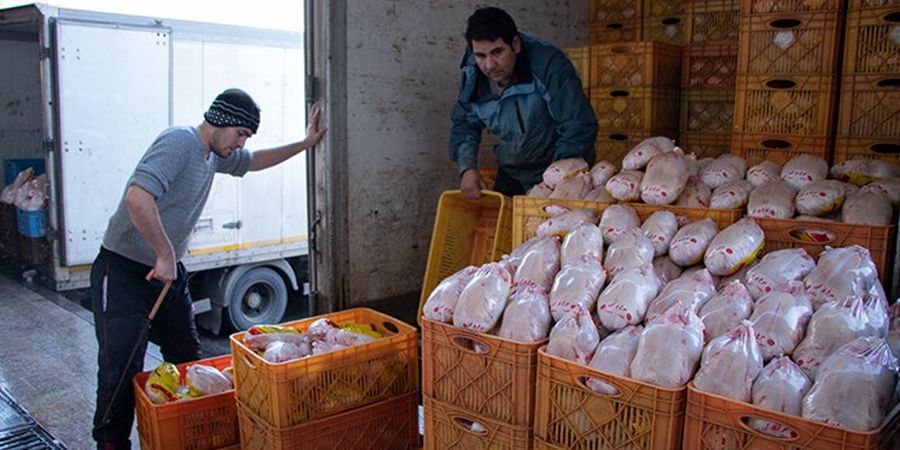 واردات ۵۰ هزار تن مرغ به گمرک ابلاغ شد