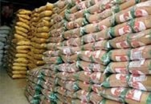 آغاز تخلیه ۳۱ هزار و ۵۰۰ تن برنج در بنادر کشور