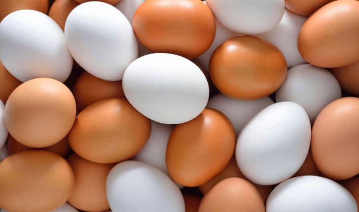 عوارض ۳۵۰۰ تومانی برای صادرات هر کیلو تخم مرغ