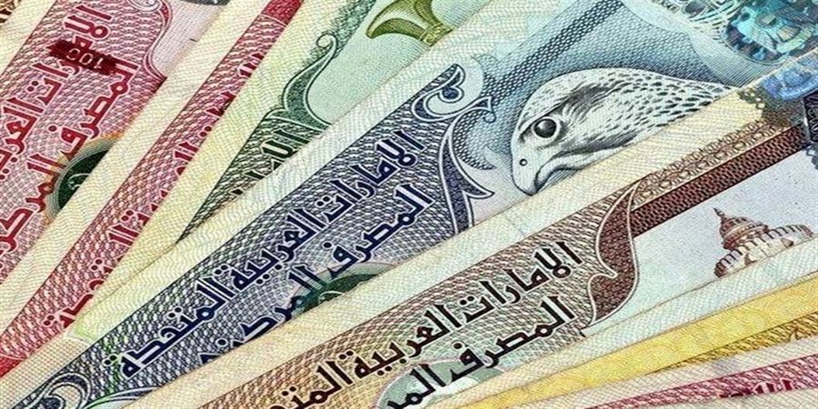 قیمت درهم ، دلار و سکه امروز شنبه ۹ بهمن ۱۴۰۰
