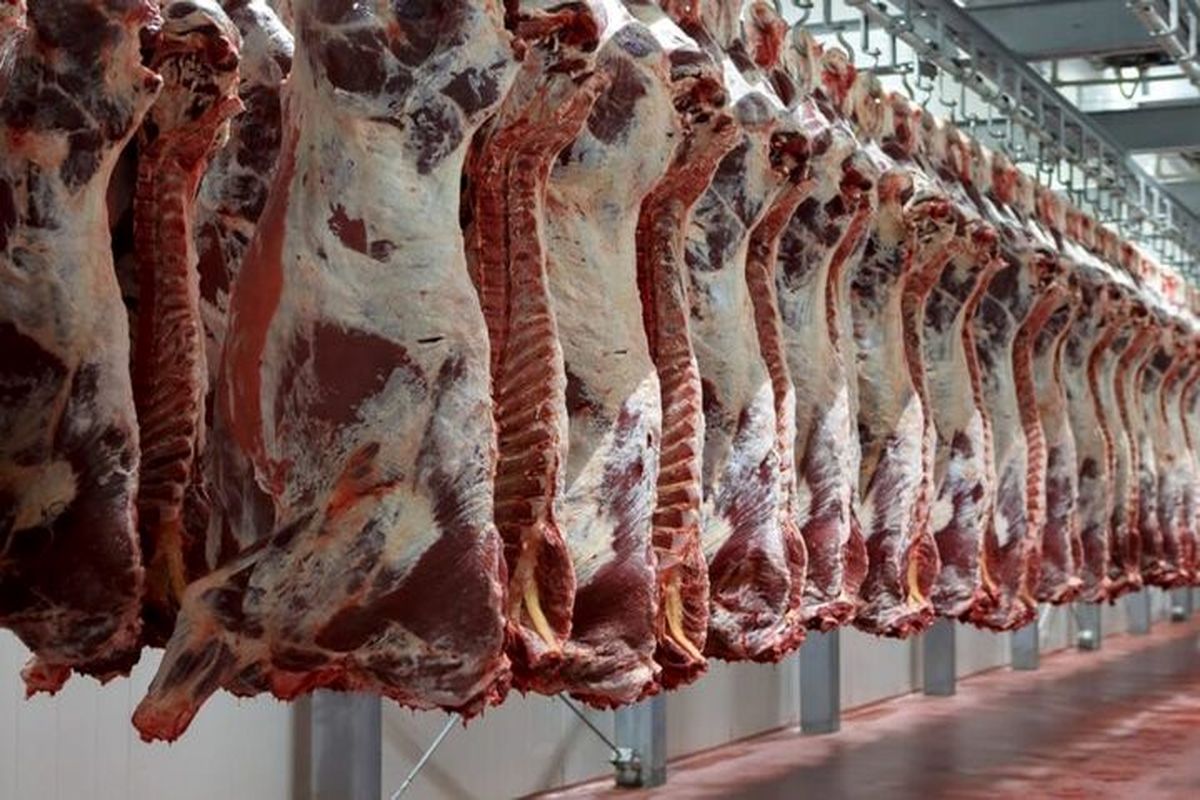 بلاغیه فوری گمرک درباره واردات گوشت / سود بازرگانی واردات گوشت صفر شد